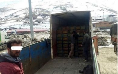 دانهدرشتهای قاچاق میوه در سوگیری سازمان تعزیرات کجا هستند؟