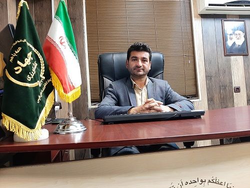 تخصیص 115 تن اقلام اساسی به فیروزآباد