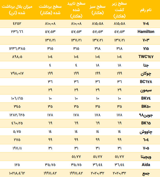 photo24155445295 (1)