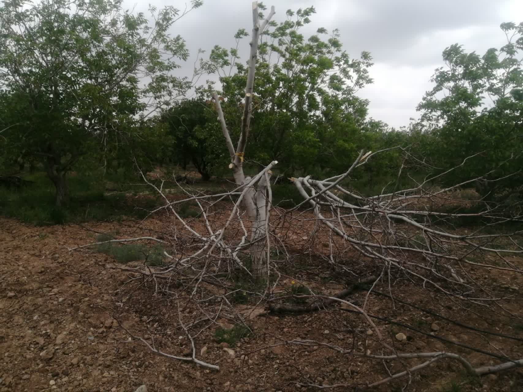 photo26480480822