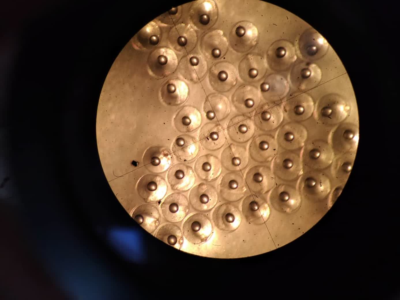 WhatsApp Image 2025-11-20 at 12.29.49_33c55719