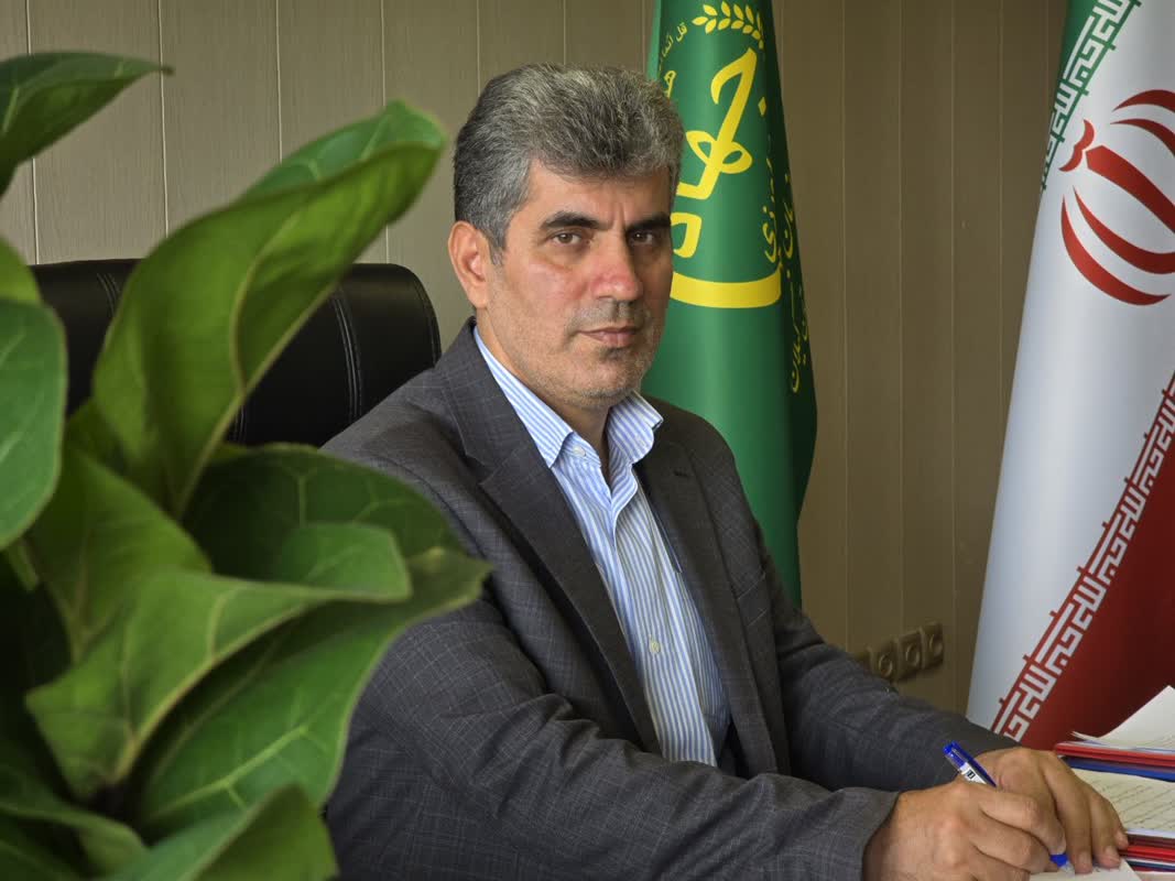 WhatsApp Image 2026-01-01 at 14.07.29