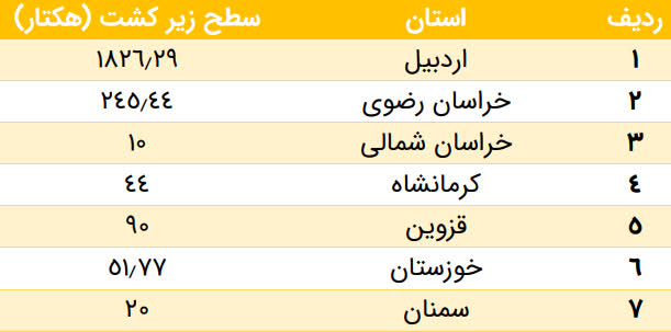 photo24155445285 (1)