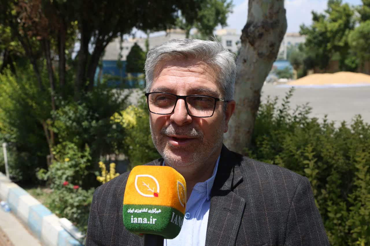 یدایی