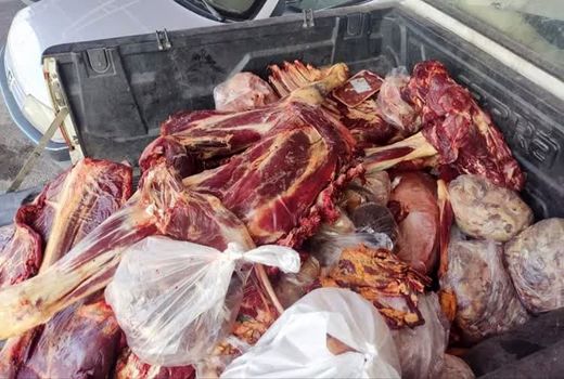 کشف و ضبط بالغ‌بر 21 تن فراورده خام دامی فاسد و غیر قابل مصرف توسط اداره دامپزشکی تبریز