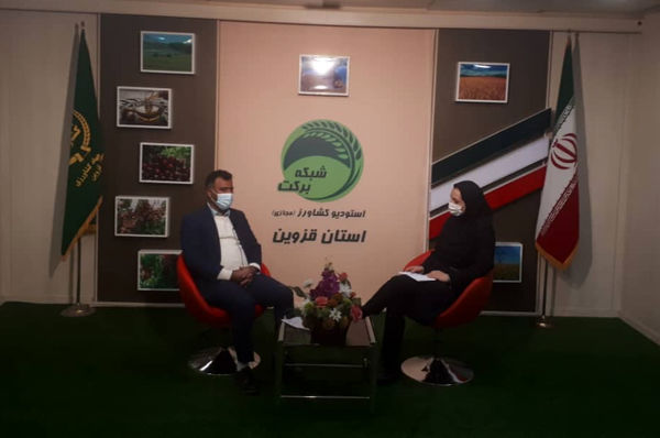 بررسی موضوع "ظرفیتهای صادرات محصول انگور" در برنامه استودیو کشاورز استان قزوین
