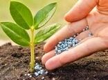 مصرف متعادل کودهای شیمیایی یارانه ای در استان قم