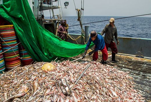 جلوگیری از صید بی‌رویه و غیرمجاز در آب‌های کشور