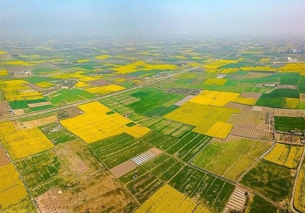 نظارت مستمر بر مجوزهای حفظ کاربری اراضی کشاورزی؛ گامی در مسیر توسعه پایدار