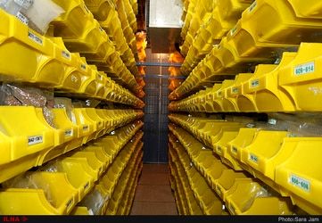 بیش از ۵۰ هزار نمونه بذر و ۳۰ درصد گیاهان انحصاری کشور در بانک ژن نگهداری می‌شود