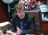مدیریت سگ‌های بی‌صاحب وظیفه شهرداری‌ها است/ لزوم توسعه کشتارگاه‌های صنعتی