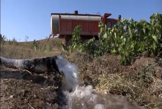 ۶۵۰ هکتار باغ میوه بوئین میاندشت درمعرض تنش شدید آبی