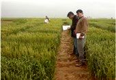 یافته‌های اثربخش کشاورزی، ترویج شود