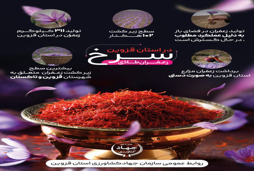 اینفوگرافی | طلای سرخ استان قزوین