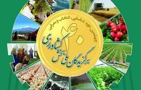 مشارکت در چهلمین دوره برگزیدگان کشاورزی با ۳۶ درصد افزایش به ۱۵۵ هزار نفر رسید