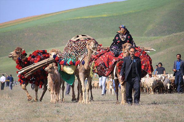 336 روستای آذربایجان غربی عشایر نشین هستند