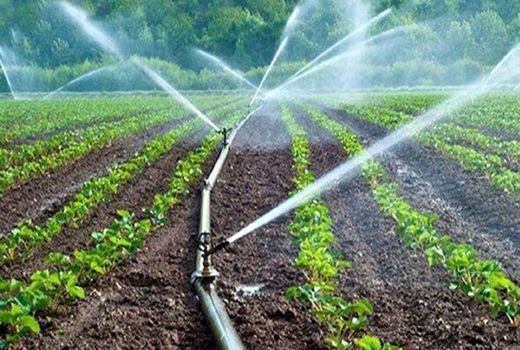 بومی سازی سامانه‌های نوین آبیاری در شرکت های دانش بنیان داخلی