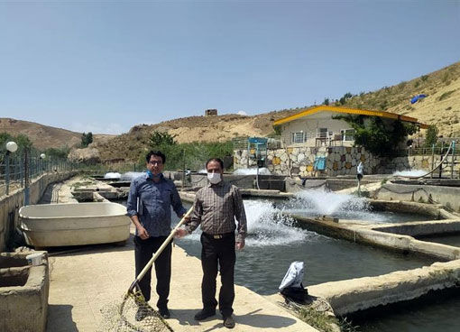 اجرای طرح بازدید و نظارت مستمر فنی بر مزارع پرورش ماهی آذربایجان شرقی