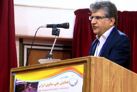 نجات ذخایر ساردین در جنوب ایران/ ممنوعیت صید در فصل تخم‌ریزی