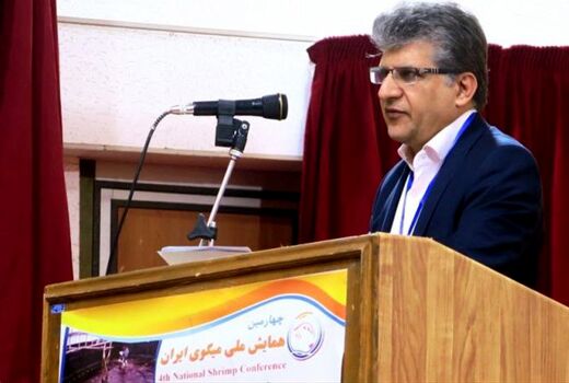 نجات ذخایر ساردین در جنوب ایران/ ممنوعیت صید در فصل تخم‌ریزی