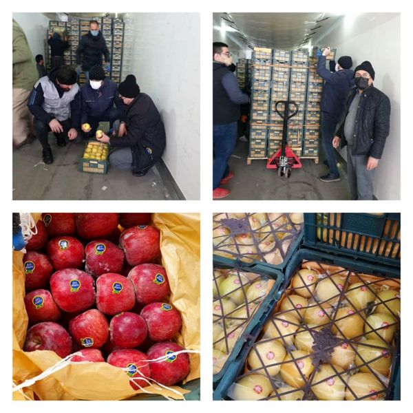 اولین محموله میوه شب عید استان قزوین بارگیری شد