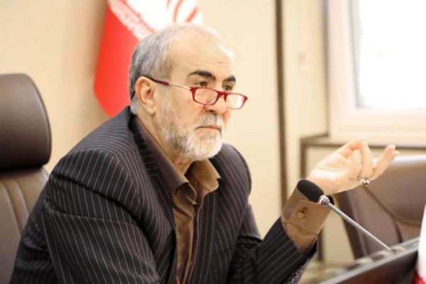 تلاش برای نجات شمشادهای جنگل های شمال 