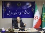 سهم ۴ درصدی اردبیل از تولیدات کشاورزی، دامی و پروتئینی کشور