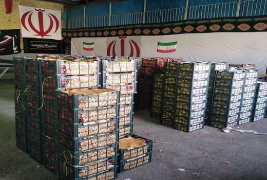 توزیع 227 تن اقلام تنظیم بازار در فیروزآباد 