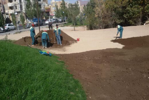 ممنوعیت چمن‌کاری در تهران فقط روی کاغذ