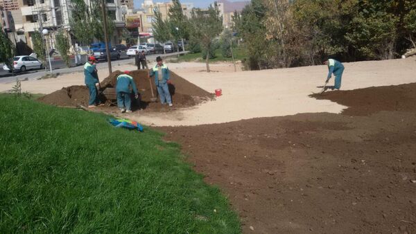ممنوعیت چمن‌کاری در تهران فقط روی کاغذ