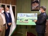 اختصاص "دامدار کارت" برای تامین هزینه‌های دامداران روستایی و عشایر