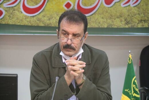 افزایش سطح زیر کشت و تولید ارمغان طرح ملی گندم بنیان