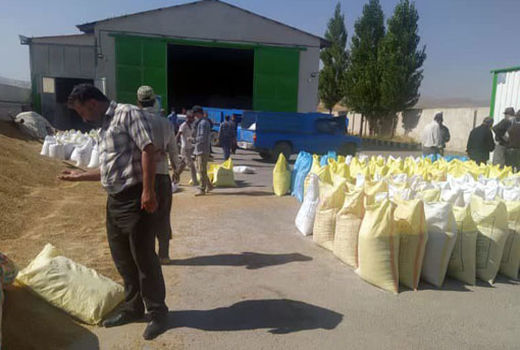  توزیع 2464 تن نهاده های دامی در شهرستان ورزقان