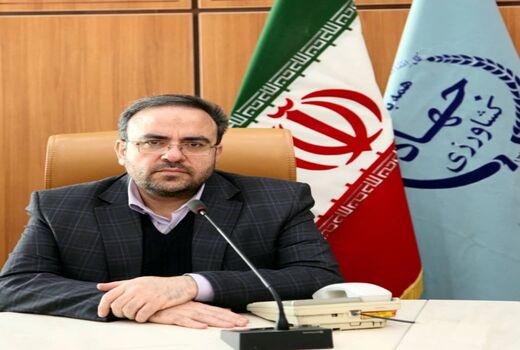 جنگل های مانگرو در تداوم چرخه حیات آبزیان نقش اساسی دارد