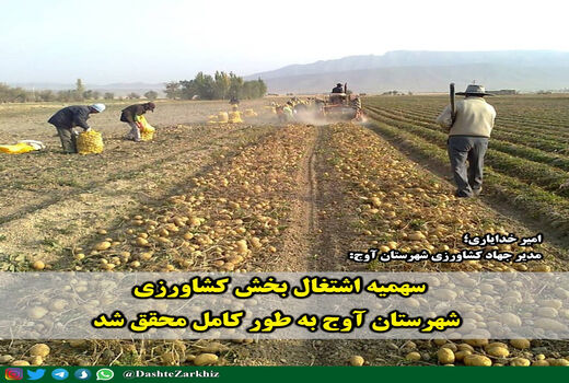 سهمیه اشتغال بخش کشاورزی شهرستان آوج به طور کامل محقق شد