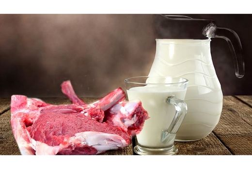 تولید سالانه 15 هزار تن شیر و گوشت قرمز در گلوگاه