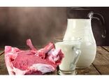 تولید سالانه 15 هزار تن شیر و گوشت قرمز در گلوگاه