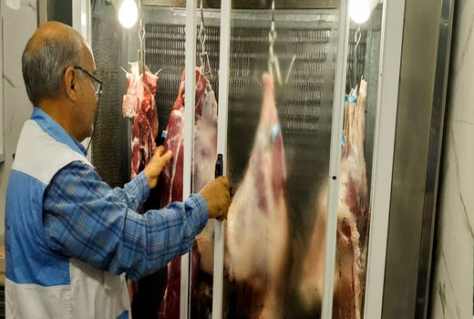 معدوم کردن بیش از 19 هزار کیلوگرم فراورده خام دامی در دزفول