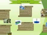 سن زیان  آور در باغات پسته استان قزوین  