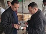 پایداری تولید و عرضه نان در شهرستان مرند