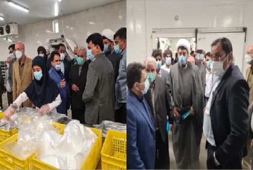 بازدید از شرکت بسته بندی و عمل‌آوری آبزیان در منطقه میشی شهرستان سیریک