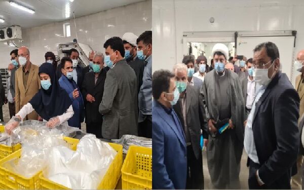 بازدید از شرکت بسته بندی و عمل‌آوری آبزیان در منطقه میشی شهرستان سیریک