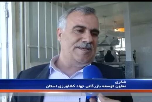تشدید نظارت و بازرسی بر بازار کالاهای اساسی در ایلام