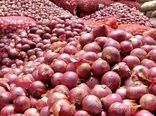 صادرات محصول پیاز مازاد بر مصرف تسهیل می‌شود