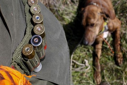 قرق‌های اختصاصی در نطفه خفه می‌شود