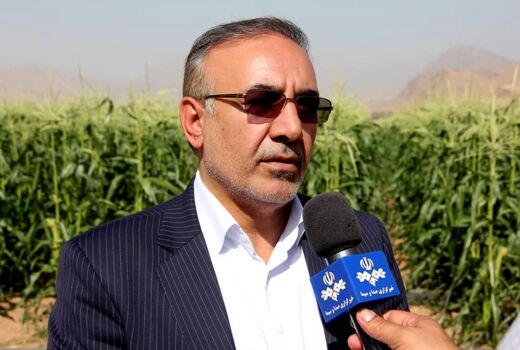 تجهیز ۵۱ هزار هکتار از اراضی کشاورزی استان به سیستم آبیاری نوین