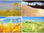 عملیات کاشت غلات پاییزه در شهرستان مهران