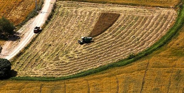 موفقیتهای 40 ساله بخش کشاورزی حاصل تلاش مدیران جهادی است