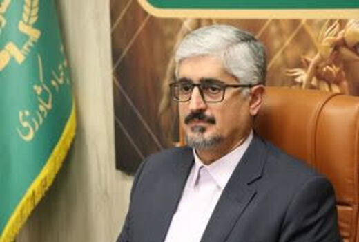خرید گندم در استان فارس ۱۶ درصد افزایش یافت