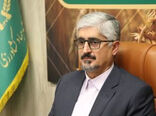 خرید گندم در استان فارس ۱۶ درصد افزایش یافت